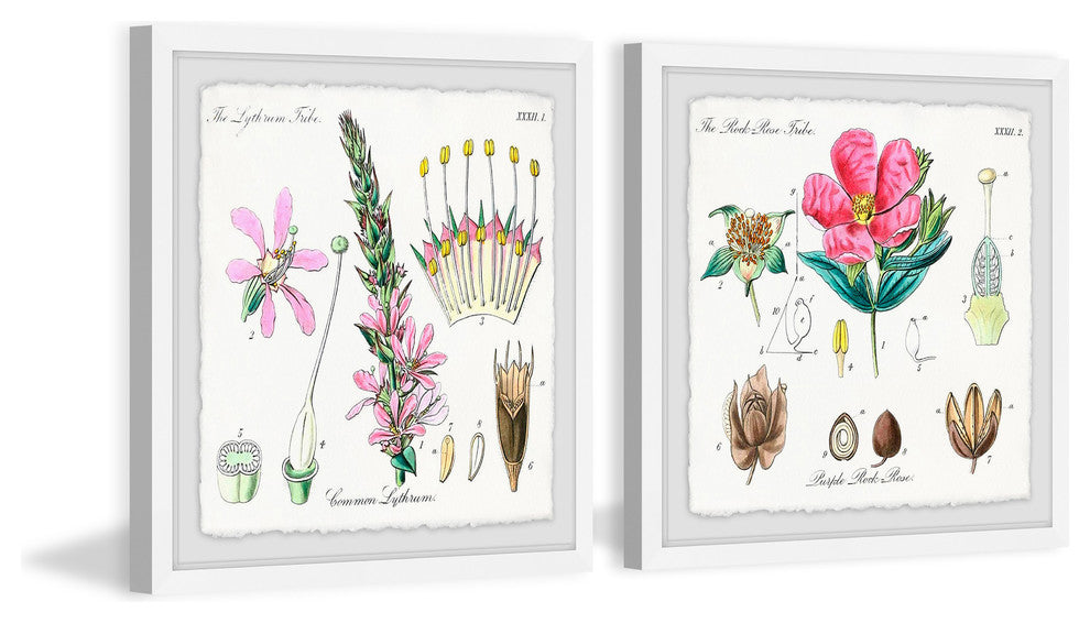 "Growing Pink Diptych" Framed Prints, 18"x18", 2-Piece Set