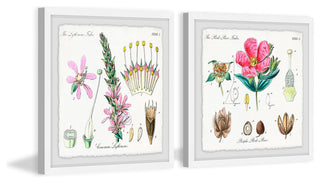 "Growing Pink Diptych" Framed Prints, 18"x18", 2-Piece Set