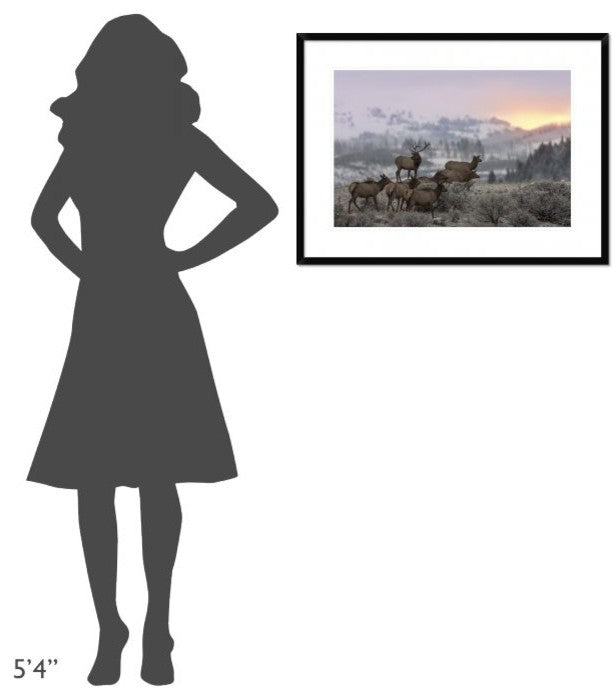 "First Light" Framed Digital Print by Nick Kalathas, 32x24"