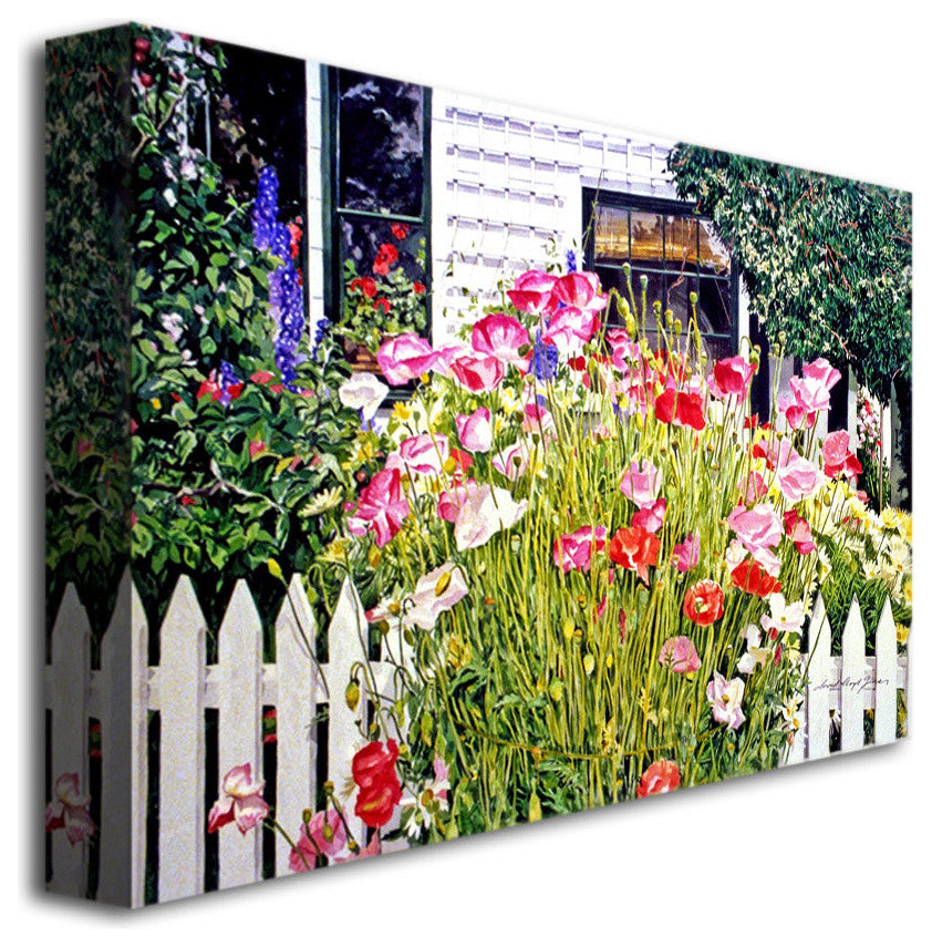 'Poppies on Niagara' Canvas Art by David Lloyd Glover
