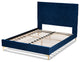 Sofi Glam and Luxe Velvet Upholstered Platform Bed, Navy Blue/Gold, Queen