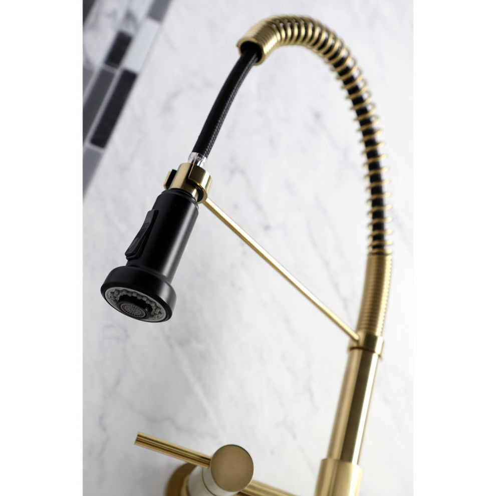 Gourmetier GS818XDL-P Concord 2-Handle Wall Mount Pull-Down Kitchen Faucet, Brus