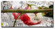 Born2BWild II Canvas Wall Art, 20"x40"