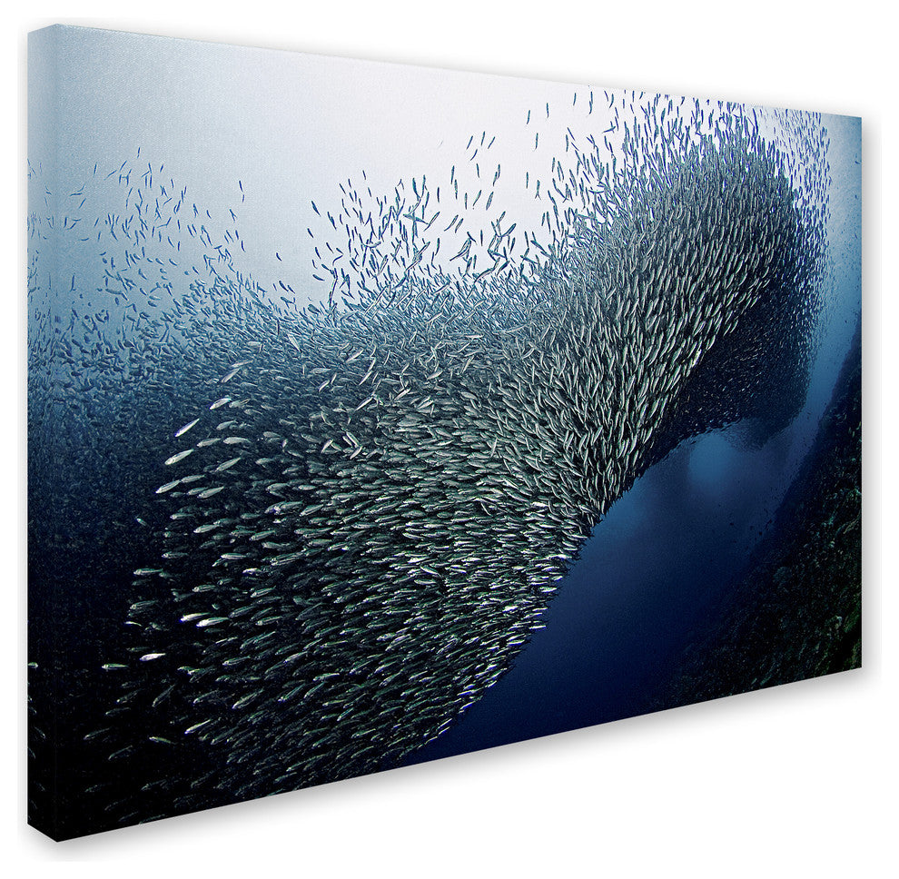 Henry Jager 'Sardines Tornado' Canvas Art, 32x24