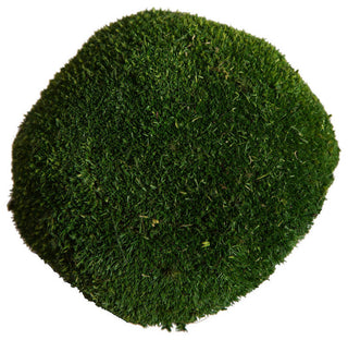 Vickerman Natural Botanicals 1  lb. Apple Green Pole Moss.