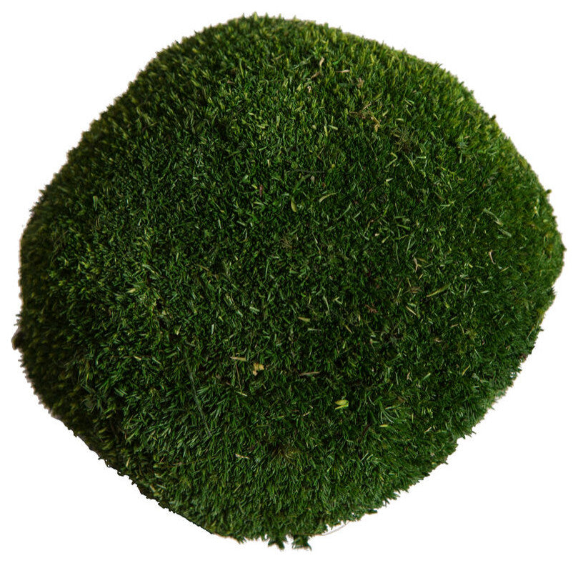 Vickerman Natural Botanicals 1  lb. Apple Green Pole Moss.