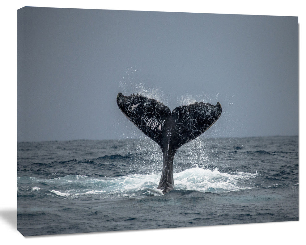 Large Humpback Whale Tail, Oversized Animal Wall Art, 40"x30"