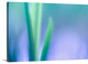 "Lily Leaves" Wrapped Canvas Art Print, 36"x24"x1.5"