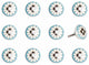 HomeRoots Floral White and Sky Blue Set of 12 Knobs