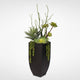 Botanical Succulent Variety With Tall Black Modern Metal Planter