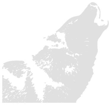 Howling Wolf Wall Decal