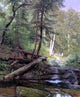 Herman Herzog A Bear Approaching a Forest Stream Wall Decal
