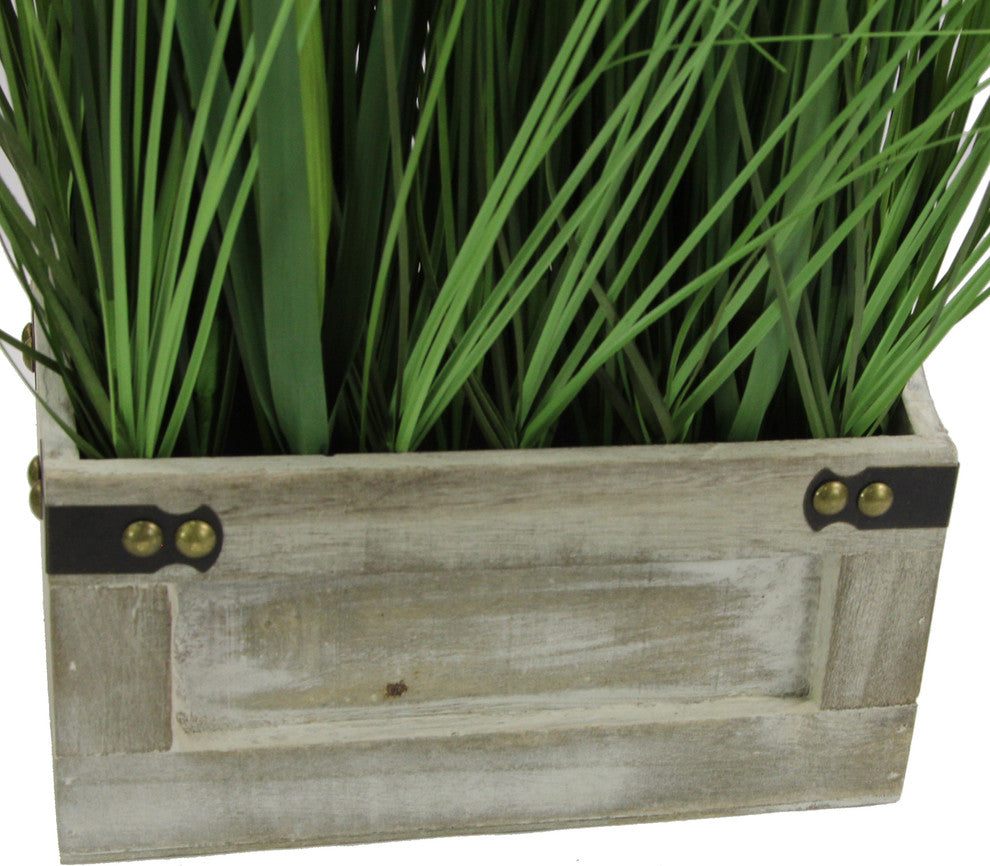 Close-up crop of the planter with grass on white background; cropped view, not showing the full product.