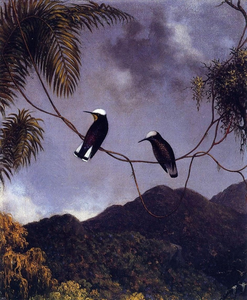 Martin Johnson Heade Snowcap, 20"x25" Wall Decal