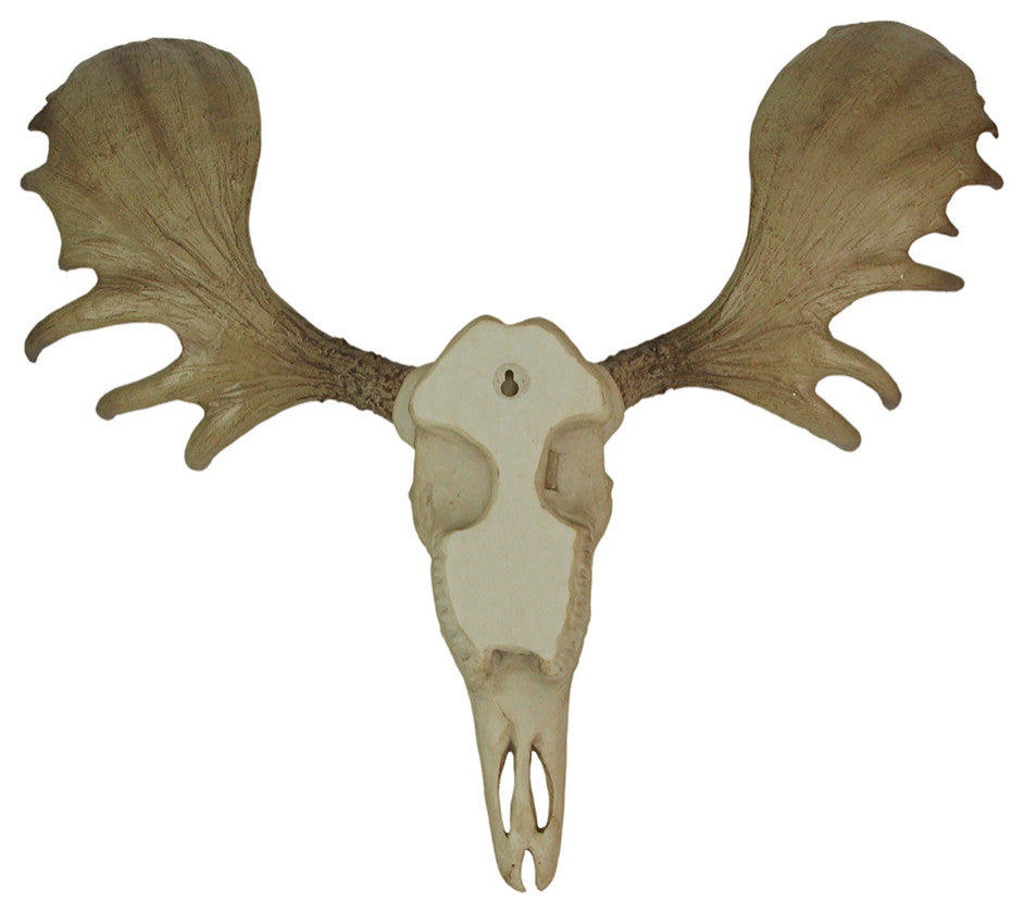 Large Lifelike Bull Moose Skull Hanging Wildlife Decor Statue