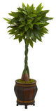 5" Money Artificial Tree, Decorative Planter, Real Touch