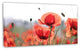 Soft Poppy Flowers Petals View, Floral Canvas Art Print, 32"x16"