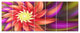 Large Red Purple Alien Flower, Floral Canvas Art Print, 83"x32", 7 Panels