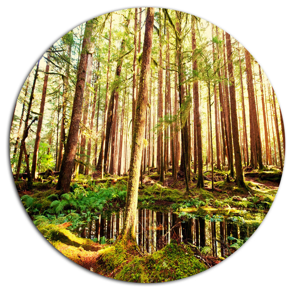 Dense Trees In Green Rain Forest, Landscape Disc Metal Wall Art, 23"