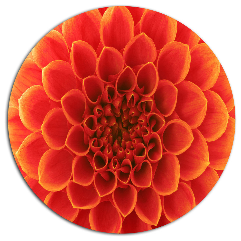 Orange Abstract Flower Petals, Modern Floral Round Wall Art, 11"