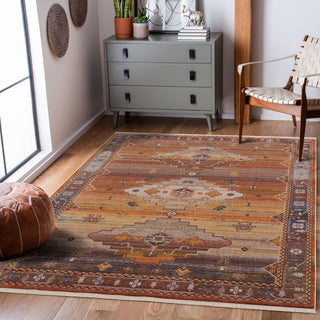 Southwestern Sierra Area Rug, 2' X 6'