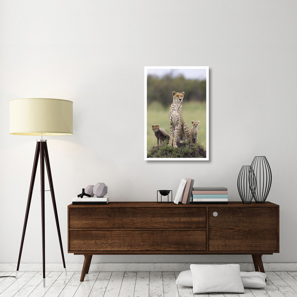"Cheetah mother and 8-9 week old cubs, Maasai Mara Reserve" Paper Art, 26"x38"
