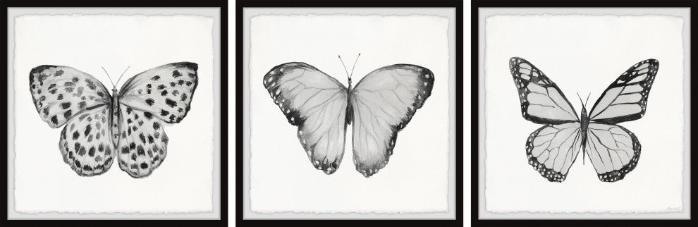 Spread Your Wings and Fly Triptych, 3-Piece Set, 18x18 Panels