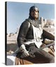 "Charlton Heston - El Cid" Canvas Giclee by Hollywood Photo Archive, 24"x30"