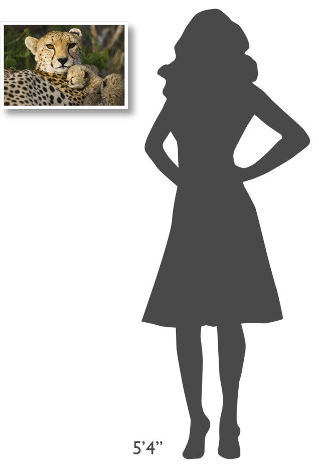 "Cheetah cub resting against mother, Maasai Mara Reserve" Paper Art, 20"x14"