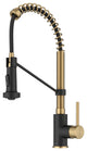 Bolden Commercial Style 2-Function Pull-Down 1-Handle 1-Hole Kitchen Faucet, Brushed Brass/ Matte Black