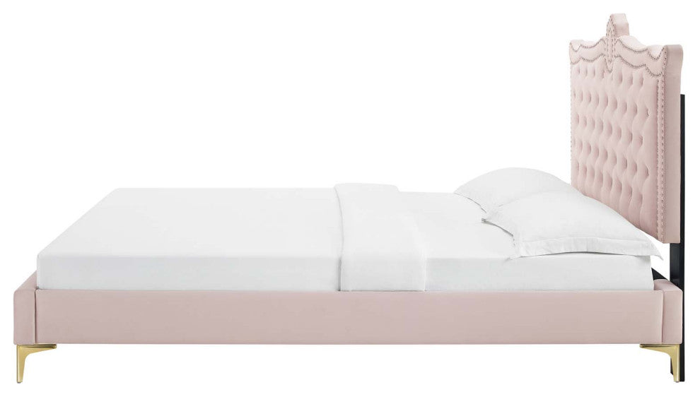 Platform Bed Frame, Nailhead, Queen Size, Pink, Velvet, Modern, Guest Suite