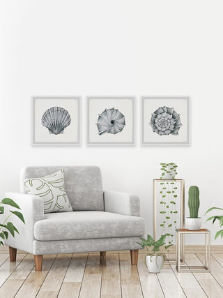 Pretty Shells Triptych, 72"x24"