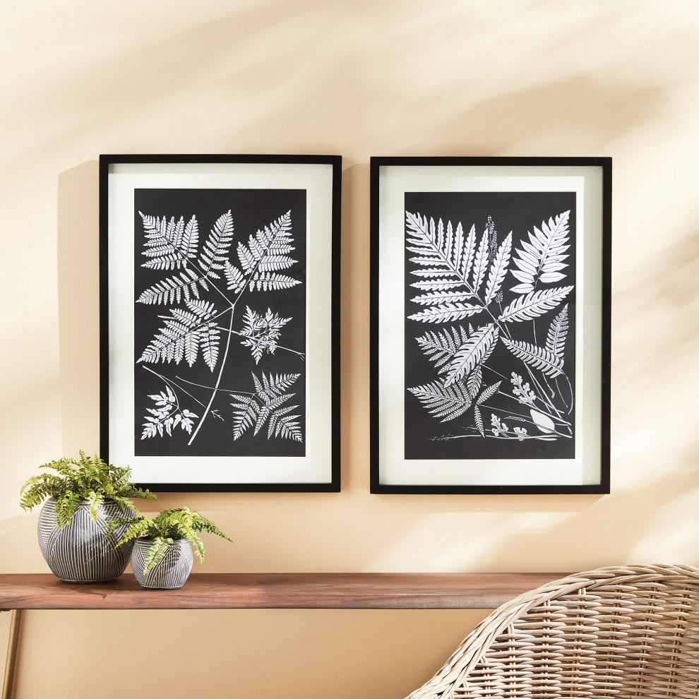 Assorted Fern Study, Set of 2