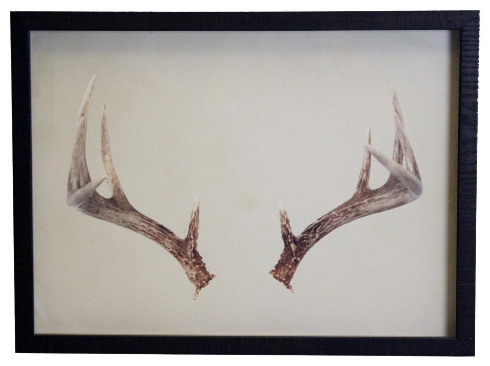 Horizontal Antlers