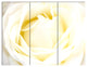 White Rose with Close Up Petals, Floral Triptych Canvas Print, 36x28, 3 Panels