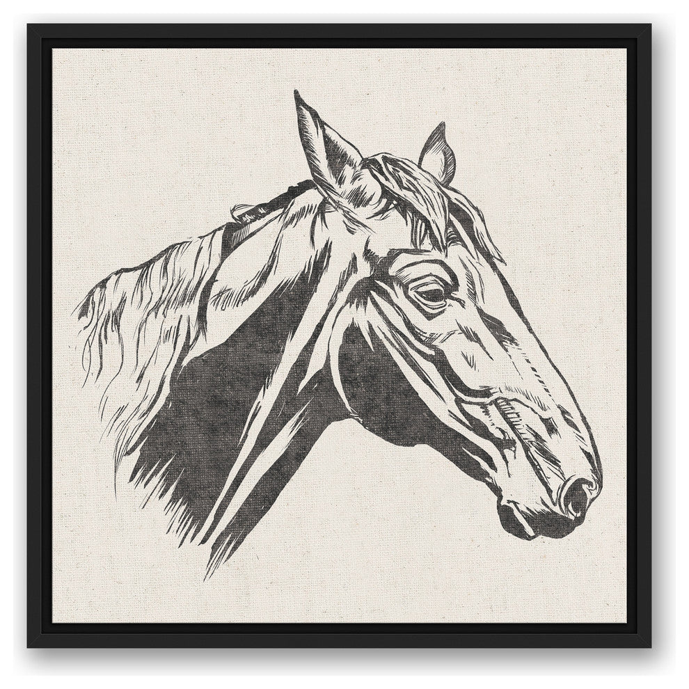 Horse Head Sketch 20"x20" Black Framed Print on Canvas