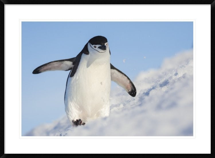 "Running Up That Hill" Framed Digital Print by Hillebrand Breuker, 38"x28"