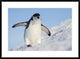 "Running Up That Hill" Framed Digital Print by Hillebrand Breuker, 38"x28"