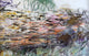 Claude Oscar Monet Water-Lilies , 18"x27" Wall Decal