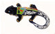 Wall Iguana, 6.25"W x 12.75"L, D
