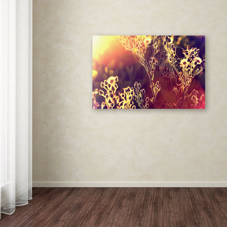 'Painting with Light' Canvas Art by Beata Czyzowska Young
