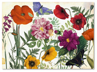 Color Bakery 'Printemps I' Canvas Art, 19x14