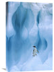"Adelie Penguin On Iceberg, South Shetland Islands, Antarctic Peninsula" Artwork