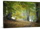 "Morning Walk" Wrapped Canvas Art Print, 48"x32"x1.5"