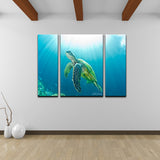 Ready2HangArt Christopher Doherty 'Sea Turtle' Canvas Wall Art (3 Piece)