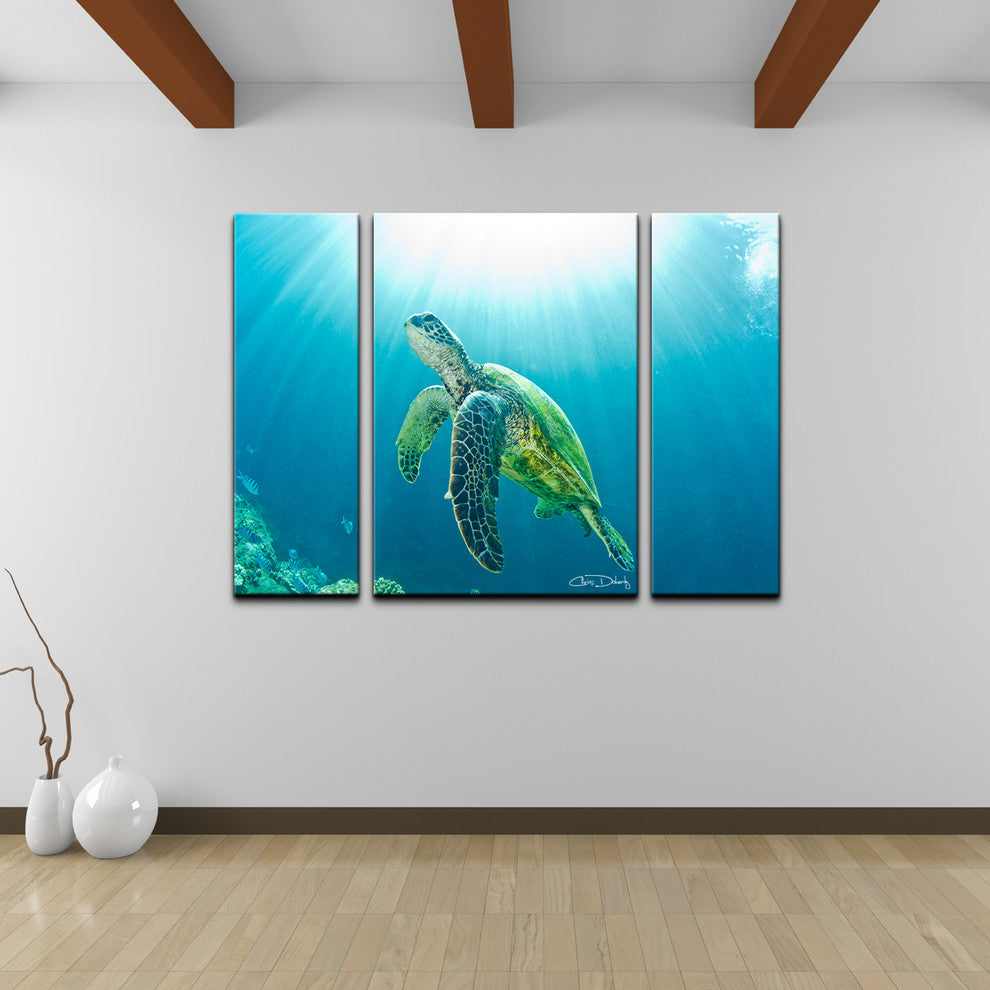 Ready2HangArt Christopher Doherty 'Sea Turtle' Canvas Wall Art (3 Piece)