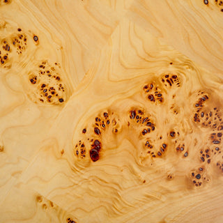 Safavieh Couture Everbella Burled Mappa Table