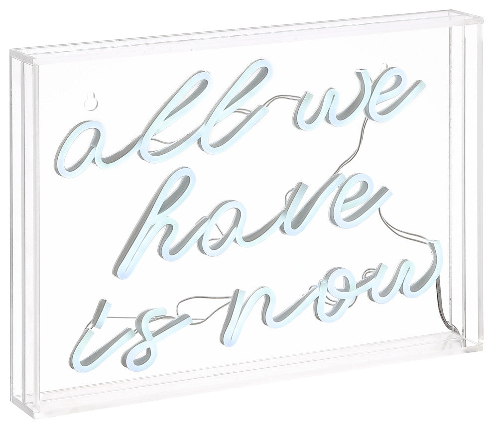 All We Have Is Now 14" X 10" Acrylic Box USB Operated LED Neon Light, White