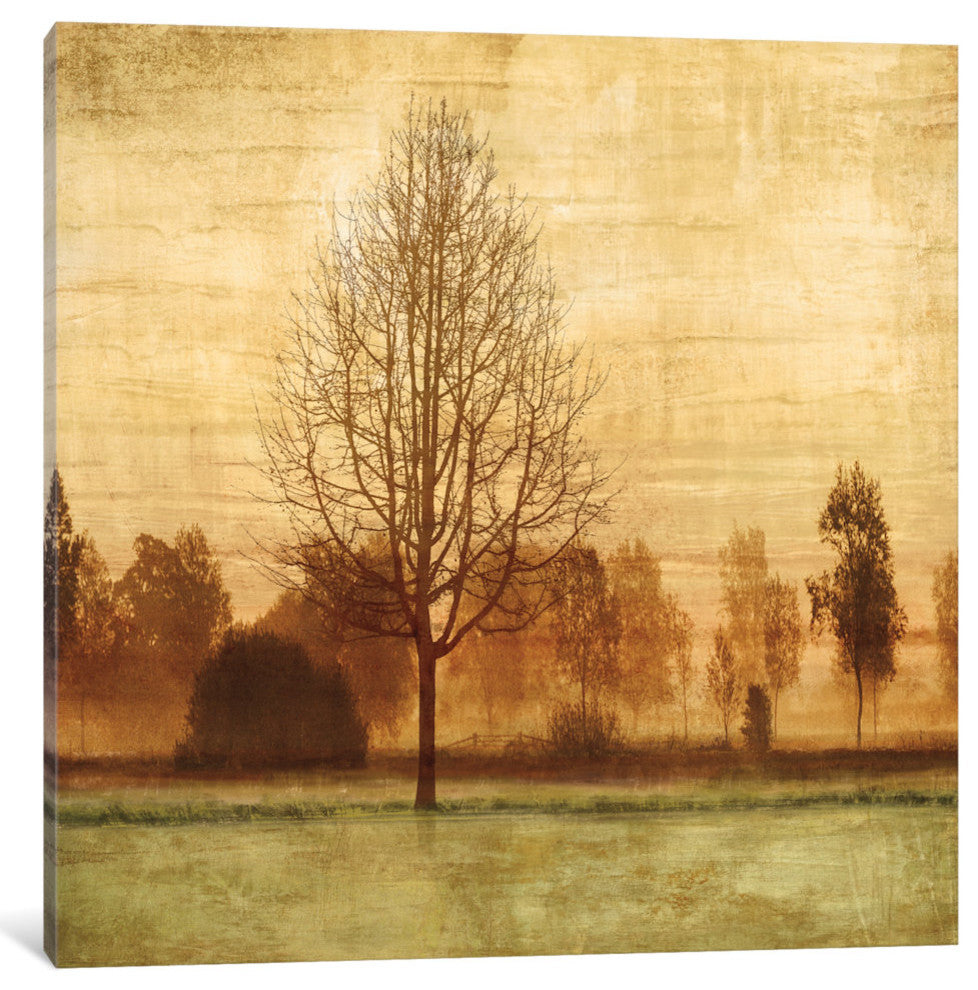 "Golden Sunrise II" by Chris Donovan, Canvas Print, 37"x37"