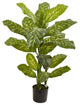 4' Dieffenbachia Real Touch Plant